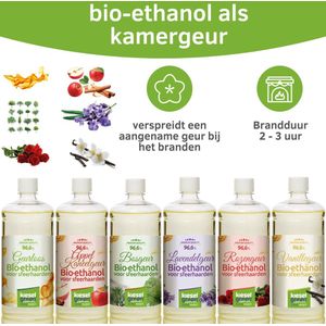 KieselGreen 24 Liter Bio-Ethanol Aroma mix (Appel/Kaneel, Bos, Geurloos, Lavendel, Roos, Vanille) – Bioethanol 96.6%