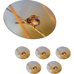 Onderzetters voor glazen - Rond - Vogels - Blauwborst - Riet - 10x10 cm - Glasonderzetters - 6 stuks