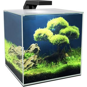 Ciano - Aquarium - Vissen - Ciano Aquarium Cube 10 Led 9,5l - 22x22,8x26,2cm - 1st