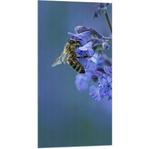 WallClassics - Vlag - Bij op Paarse Bloemen - 50x100 cm Foto op Polyester Vlag