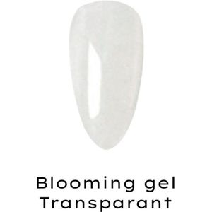 Blooming gel 15ml - Blooming gel nagels - Blooming nagellak - Flower gel - Blooming effect gel - Blooming gel voor nail art - Blooming gel voor bloemenpatroon - Blooming gel voor marmer effect - Blooming gel voor nail design