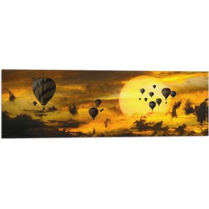 WallClassics - Vlag - Zee van Luchtballonnen bij Zon en Wolken - 90x30 cm Foto op Polyester Vlag
