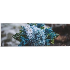 WallClassics - PVC Schuimplaat - Foto van een Klein Boeket met Witte en Blauwe Bloemen - 60x20 cm Foto op PVC Schuimplaat (Met Ophangsysteem)
