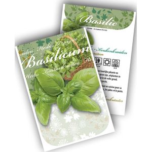 Basilicum