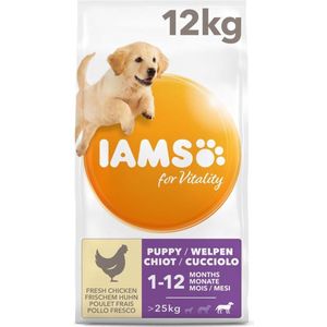Iams Dog Puppy/Junior Large Kip 12 kg 0 - 1 Jaar