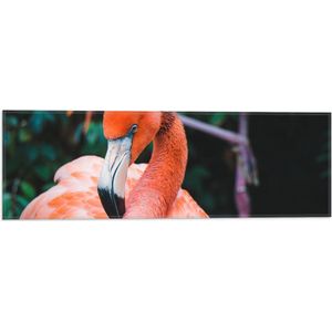 WallClassics - Vlag - Mooie Roze Flamingo - 60x20 cm Foto op Polyester Vlag