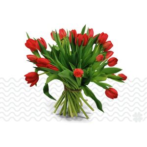Verse bloemen boeket TULPEN (cadeau voor haar) - Rood - 200 per bos