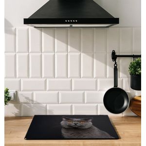 Inductiebeschermer - Britse Korthaar - 70x52 cm - Inductiebeschermer - Inductie Afdekplaat Kookplaat - Inductie Mat - Anti-Slip - Keuken Decoratie - Keuken Accessoires