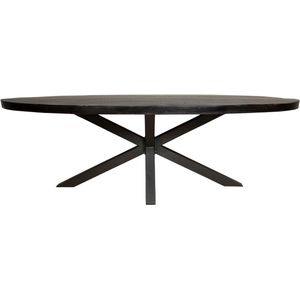 Eetkamertafel zwart | denver | ovaal | mangohout | 300 x 300 x 76(h) cm