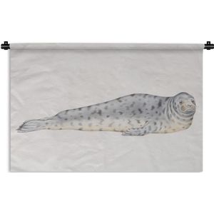 Wandkleed Zeeleeuw illustratie - Een illustratie van een liggende zeeleeuw Wandkleed katoen 90x60 cm - Wandtapijt met foto