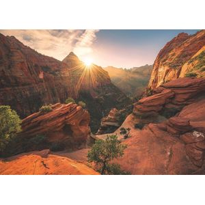 Zion Canyon USA Puzzel (1000 Stukjes, Nature Edition)