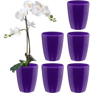 Set van 6 orchideeënpotten D 12 cm zelfbewaterende pot met lontensysteem en waterniveau-indicator voor gebruik binnenshuis - violet - 1,3 l
