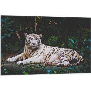 WallClassics - Vlag - Witte Tijger in de Jungle - 105x70 cm Foto op Polyester Vlag