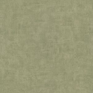 Dutch Wallcoverings - Asperia- Annabel uni groen - vliesbehang - 10m x 53cm - A51515