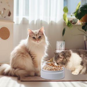 3-in-1 kattenbakset met 15° kanteling, dubbele voerbak voor nat- en droogvoer automatische waterfles, gezondheidsbevorderend en gemakkelijk schoon te maken - ideaal voor katten en kleine honden
