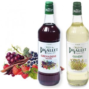 Bigallet sodamaker limonadesiroop voordeelpakket Grenadine & Génépi - 2 x 100 cl