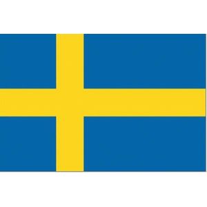 Zweedse vlag 200x300cm - Spunpoly