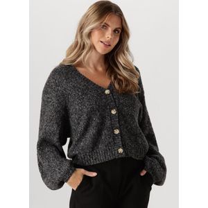 Another Label Charlotte Knitted Cardigan Truien & vesten Dames - Sweater - Hoodie - Vest- Zwart - Maat XL