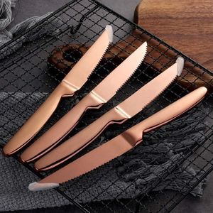 Steakmessen voor 6 personen - roestvrij staal - vleesmes set - lengte 20 cm
