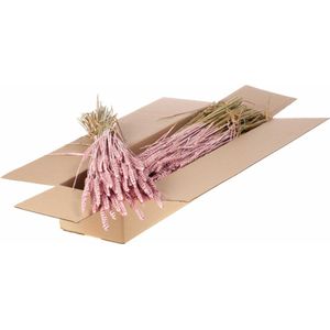 Gedroogde Bloemen Roze Mistig Tarwe (Triticum) - 1 bundel