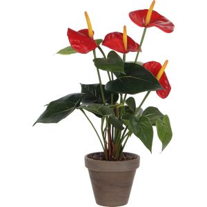 Mica Decorations Anthurium Kunstplant In Bloempot Stan - H38 X Ø30 cm - Rood