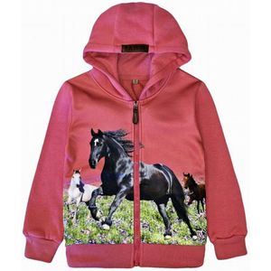 Kinder vest met paard horse kleur roze hoodie maat 122/128 sweatvest Arabier hengst paarden Heel mooi!