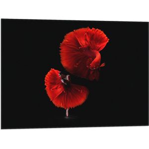 WallClassics - Vlag - Danser met Rode Jurk en Vis - 80x60 cm Foto op Polyester Vlag