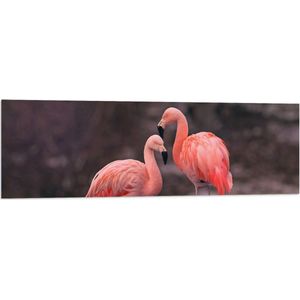 WallClassics - Vlag - Roze Flamingos - 120x40 cm Foto op Polyester Vlag