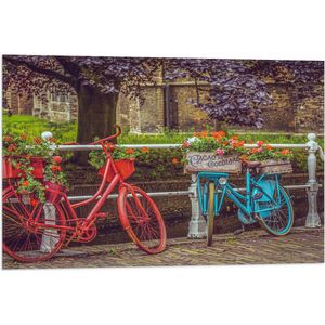 WallClassics - Vlag - Rood/Blauwe Fietsen met Bloemen Gevuld - 75x50 cm Foto op Polyester Vlag