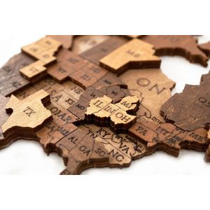 3D houten puzzels Wereldkaart S - Interieurdecoratie - 114 stukjes - Choco - Hout