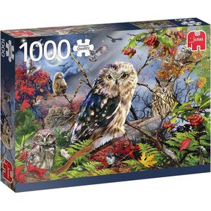 PC Owls in the Moonlight (1000)