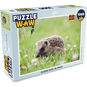 Puzzel Kleine egel in gras - Legpuzzel - Puzzel 1000 stukjes volwassenen