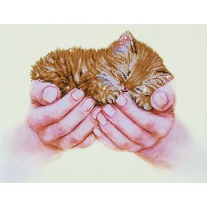 DIAMOND DOTZ Precious Kitten - Diamond Painting - 4.888 Dotz - 52x40 cm