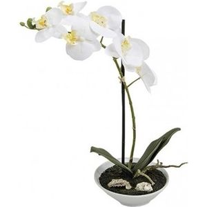 Kunstplanten In Pot Witte Orchidee 38 cm - Witte Phalaenopsis In Bloempot 38 cm