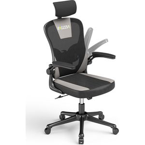 Bureaustoel - Ergonomische stoel met 2D armleuningen, in hoogte verstelbare hoofdsteun lendensteun rugleuning - Zwart en grijs