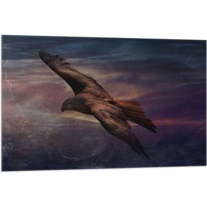 WallClassics - Vlag - Golden Eagle Vliegend - 105x70 cm Foto op Polyester Vlag