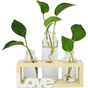 glazen cilindervazen, desktop glazen bloembak vaas met retro massief houten standaard, set van 3 decoratief middelpunt voor hydrocultuurplanten huis tuin bruiloft decor (3 bollen vazen) (Love)