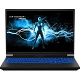 Erazer Major X10 - Gaming laptop - QHD+ scherm - Intel Core i7 - Intel Arc A730M - 16 inch