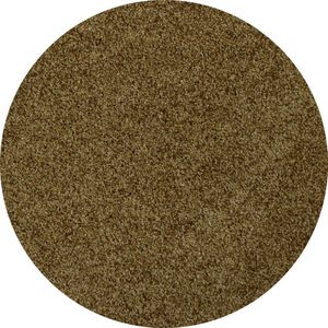 Van Beekum Specerijen - Selderijzout - 20 KG - Zak (bulk verpakking)