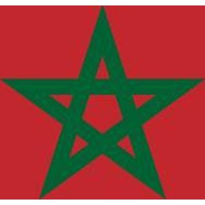 Marokkaanse vlag 150x225cm - Spunpoly