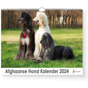 Kalender 2024 - Afghaanse hond - 35x24cm - 300gms - Spiraalgebonden - Inclusief ophanghaak