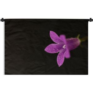 Wandkleed Planten op een zwarte achtergrond - Een close-up van een paarse lelie op een zwarte achtergrond Wandkleed katoen 150x100 cm - Wandtapijt met foto