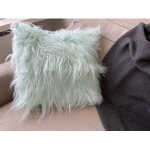 2-Set Faux Fur Pillow Covers ASTRADAVI - Pluche Sierkussenhoes - 43x43 cm - Pastel Mintgroen