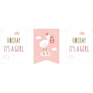 Flag banner - Newborn baby girl