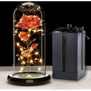 Rose Eternelle sous Cloche, Galaxy Rose met LED-lampjes, verlichte roos bloemen, kunstmatige roze bloem cadeau voor moeder moeder grootmoeder, voor Moederdag, bruiloft, verjaardag, Kerstmis