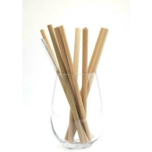 Bamboe rietjes - 10 stuks - zero waste bamboo straws - duurzaam - milieuvriendelijk bmboe - alternatief voor plastic rietjes - inclusief schoonmaakborsteltje