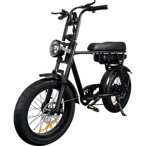 Fat Wheelz - FW4 Black Edition - Fatbike E-bike 250Watt 25 km/u 20” Banden – 7 Versnellingen met alarm