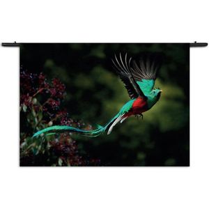 Mezo Wandkleed Schitterende Vliegende Quetzal Vogel Rechthoek Horizontaal S (40 X 60 CM) - Wandkleden - Met roedes