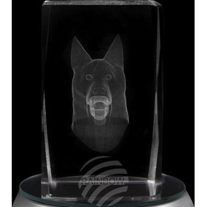 glasblokje crystal plein thema: hond kleur transparant