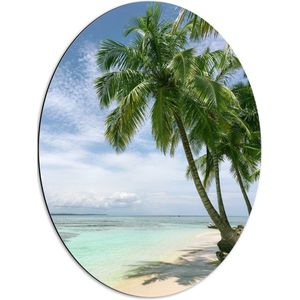 WallClassics - Dibond Ovaal - Groene Palmbomen op Wit Strand - 51x68 cm Foto op Ovaal (Met Ophangsysteem)